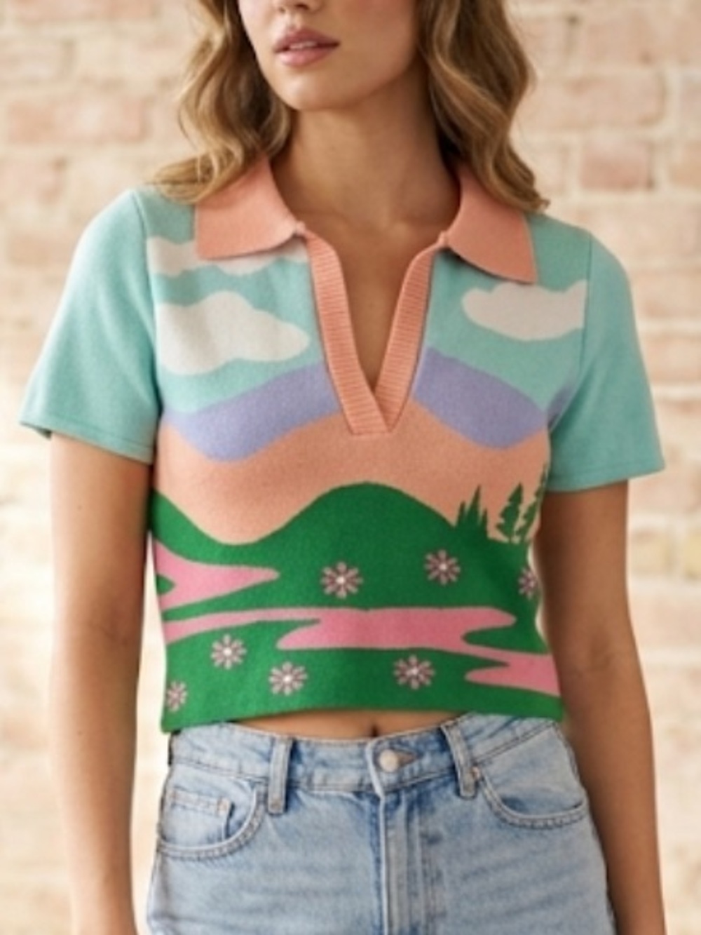 Debut Retro Mountain Scene Knit Polo Shirt Short Sleeve Crop Top Size Small